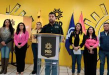 PRD respalda Plan Michoacán