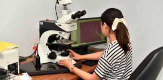 Con un programa flexible, Maestría en Ciencia en Ecología Integrativa de la UMSNH abre su convocatoria