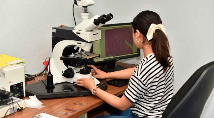 Con un programa flexible, Maestría en Ciencia en Ecología Integrativa de la UMSNH abre su convocatoria