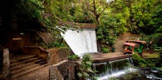 Los secretos del Parque Nacional Barranca del Cupatitzio: historia, senderos poco conocidos y consejos para recorrerlo