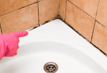 Humedad y moho en el baño: 4 formas naturales de eliminarlos sin químicos agresivos