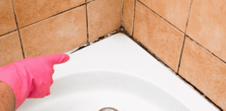 Humedad y moho en el baño: 4 formas naturales de eliminarlos sin químicos agresivos