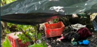 Desmantelan punto de “halconeo” en zona rural de Apatzingán