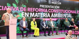 Con reforma ambiental se emitirán avisos por uso ilegal de suelo forestal