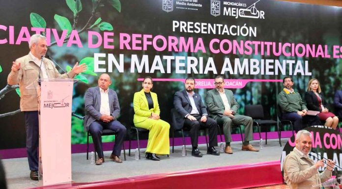 Con reforma ambiental se emitirán avisos por uso ilegal de suelo forestal