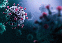 Influenza H3N2: qué es esta variante y de dónde proviene