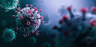 Influenza H3N2: qué es esta variante y de dónde proviene