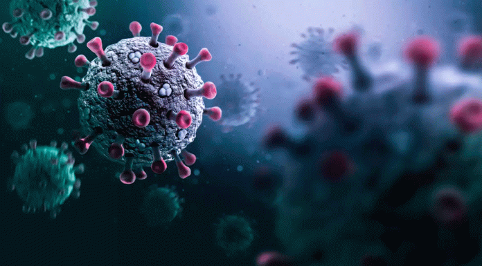 Influenza H3N2: qué es esta variante y de dónde proviene