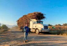 Histórica inversión de 353 millones de pesos para transformar el sector cañero en Michoacán