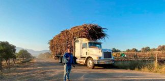 Histórica inversión de 353 millones de pesos para transformar el sector cañero en Michoacán