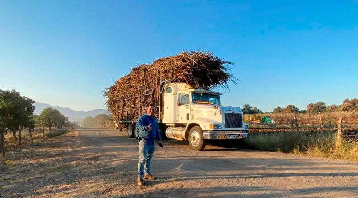 Histórica inversión de 353 millones de pesos para transformar el sector cañero en Michoacán