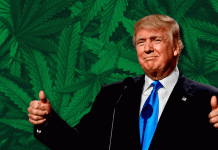 Cannabis sale de la lista de drogas más peligrosas en EU por orden de Trump