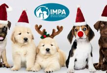 Todo listo para la Caravana de Adopción Navideña en la capital michoacana