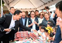 Ponen en marcha campaña “Sí al Desarme, Sí a la Paz” en Zamora