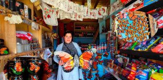 Comerciantes del País de la Monarca esperan buenas ventanas en la temporada