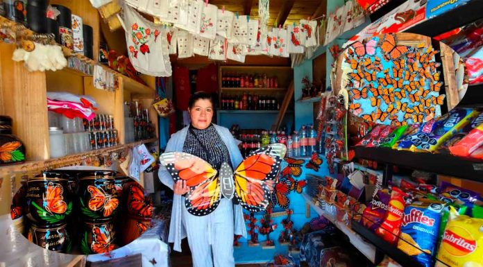 Comerciantes del País de la Monarca esperan buenas ventanas en la temporada