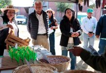 Programas federales beneficiarán al campo michoacano en 2026: Sader