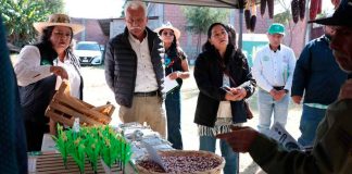 Programas federales beneficiarán al campo michoacano en 2026: Sader