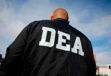 Exfuncionario de la DEA y su socio son acusados de lavar millones para el CJNG; enfrentan cargos por narcoterrorismo en EU