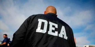 Exfuncionario de la DEA y su socio son acusados de lavar millones para el CJNG; enfrentan cargos por narcoterrorismo en EU