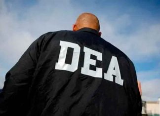 Exfuncionario de la DEA y su socio son acusados de lavar millones para el CJNG; enfrentan cargos por narcoterrorismo en EU