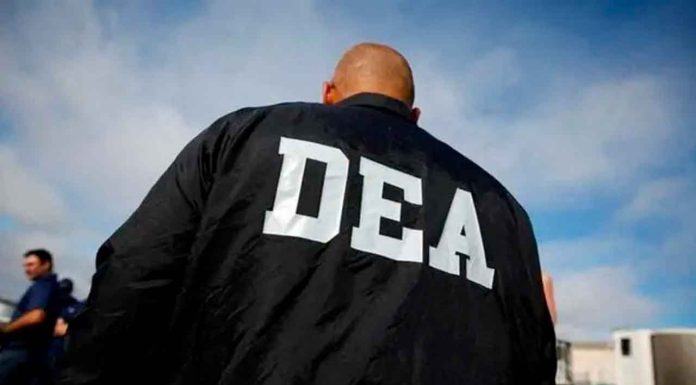 Exfuncionario de la DEA y su socio son acusados de lavar millones para el CJNG; enfrentan cargos por narcoterrorismo en EU