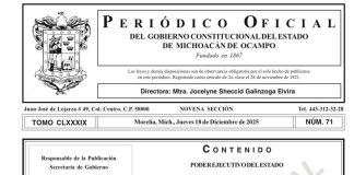 Publican Decreto que pone fin a multas de tránsito en Michoacán