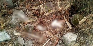 Hallan osamenta humana en predio de Tarímbaro