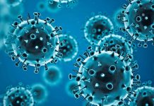 Alerta mundial por nueva variante de gripe H3N2: síntomas y cómo protegerse