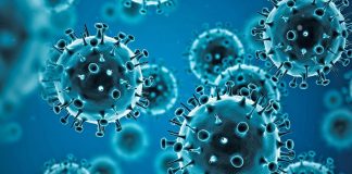 Alerta mundial por nueva variante de gripe H3N2: síntomas y cómo protegerse