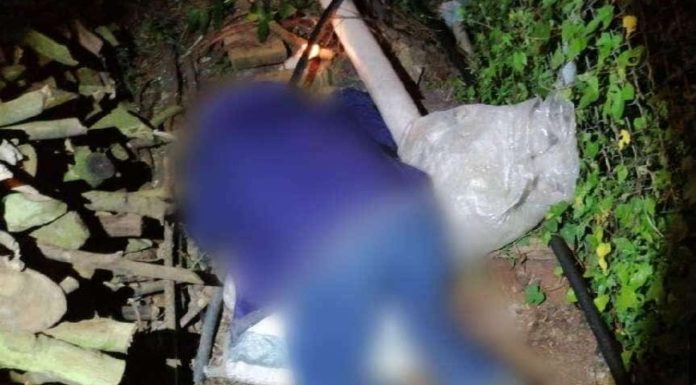 Hombre es hallado muerto y baleado afuera de su casa en la región de Ario de Rosales