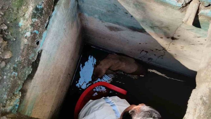 Diseño sin título (48)