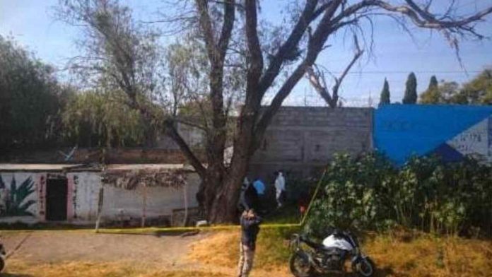 Diseño sin título (62)