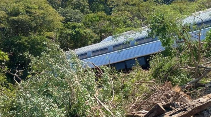 Tren Interoceánico sufre descarrilamiento en Nizanda, Oaxaca