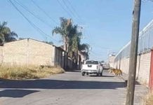 El Ayuntamiento de Álvaro Obregón informó que no encontró el tigre que se reportó en la comunidad de El Calvario