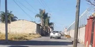 El Ayuntamiento de Álvaro Obregón informó que no encontró el tigre que se reportó en la comunidad de El Calvario