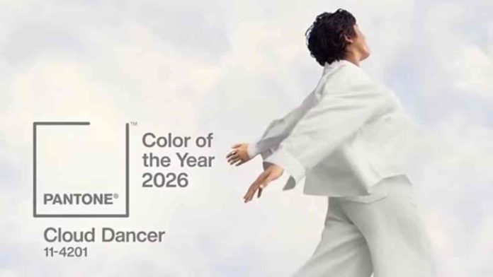 Diseño sin título (80)