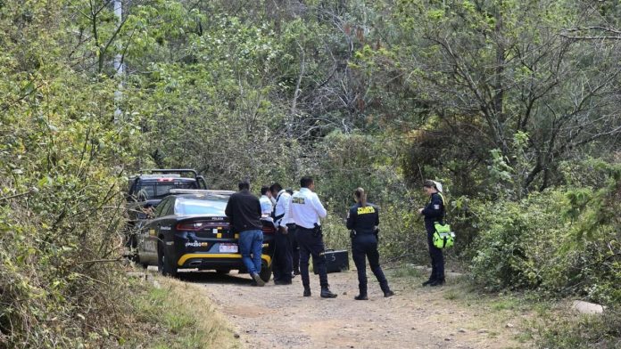 Diseño sin título (84)