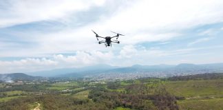 Bosques se fortalecieron con 360 mil semillas dispersadas vía dron en reforestación 2025: Cofom