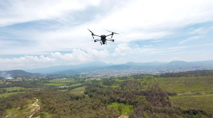 Bosques se fortalecieron con 360 mil semillas dispersadas vía dron en reforestación 2025: Cofom