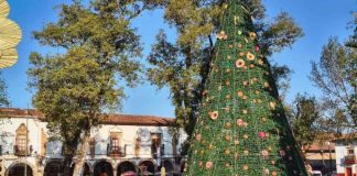 ¡Pátzcuaro se ilumina hoy con su nacimiento monumental y árbol navideño!: Sectur