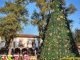 ¡Pátzcuaro se ilumina hoy con su nacimiento monumental y árbol navideño!: Sectur