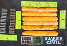 Aseguradas 32 granadas y 2 artefactos explosivos en Nahuatzen: SSP