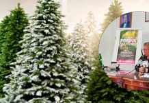 ¿Ya pusieron su árbol de Navidad? Ni se estresen, la Cofom tendrá Feria del Bosque