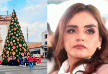 Llama Grecia Quiroz a evitar disparos al aire y vivir una Navidad en paz