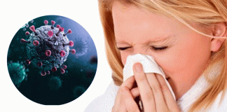 Tras la confirmación de la influenza A H3N2 subclado K, te decimos cuáles son los síntomas: