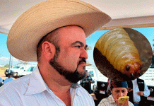 Michoacán continúa libre de Gusano Barrenador: Cefoga