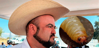 Michoacán continúa libre de Gusano Barrenador: Cefoga