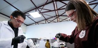 Estudiantes del IPN crean plástico que se disuelve en agua y purifica al contacto con el sol