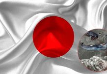 Japón enfrenta su primera demanda ciudadana por inacción ante el cambio climático